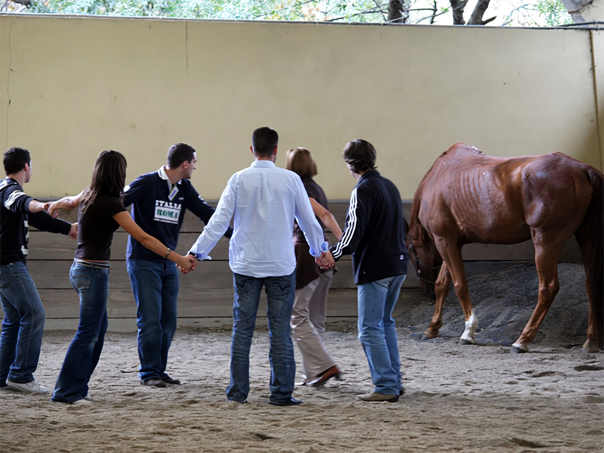 Seabiscuit Outdoor Training and Coaching