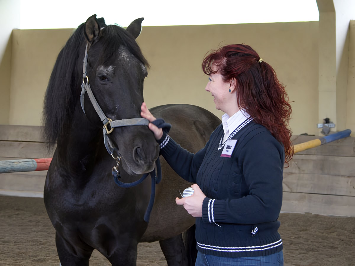 Seabiscuit Outdoor Training and Coaching